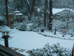 Tropics-Snow